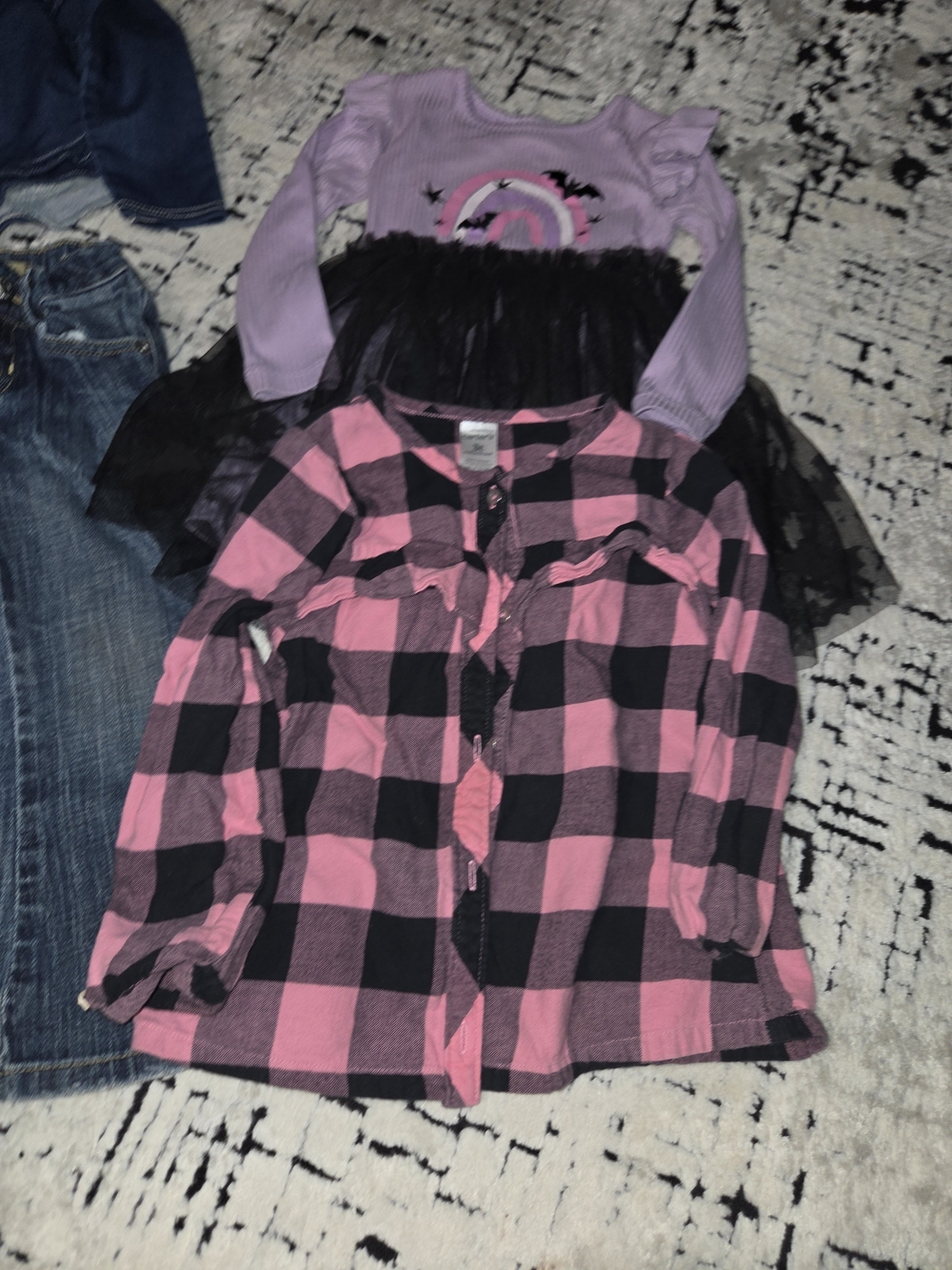 Toddler Girl Clothing Lot For Fall sizes 2/3T - Picture 3 of 4